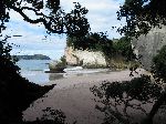 1468_Coromandel